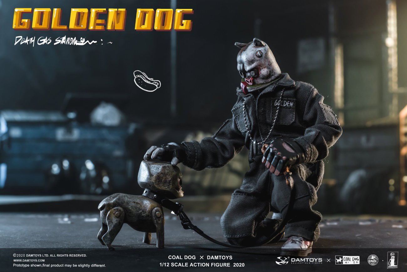 Gold Dog image 10