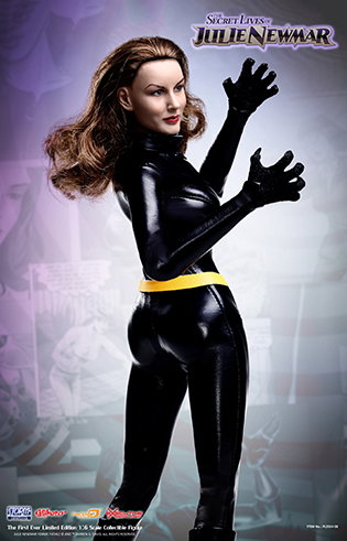 Secret Lives of Julie Newmar image 4