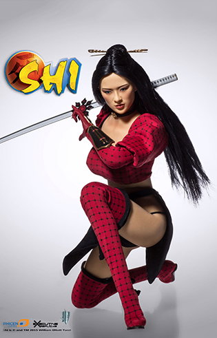 SHI image 4