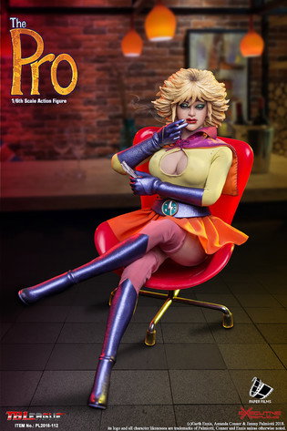 The Pro image 3