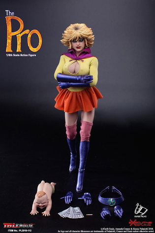 The Pro image 4
