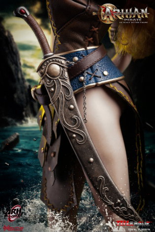 Arhian Pirate image 4
