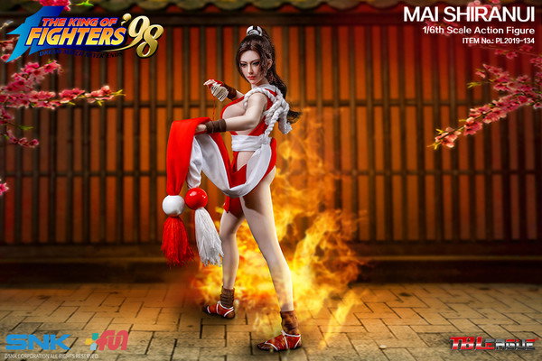 MAI SHIRANUI image 10