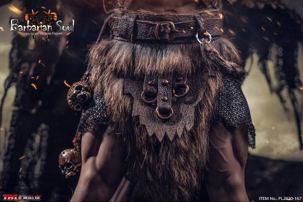 Barbarian soul image 9