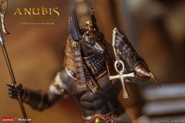 Anubis Guardian of The Underworld image 8