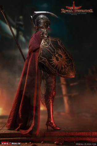Royal Defender-Black image 4