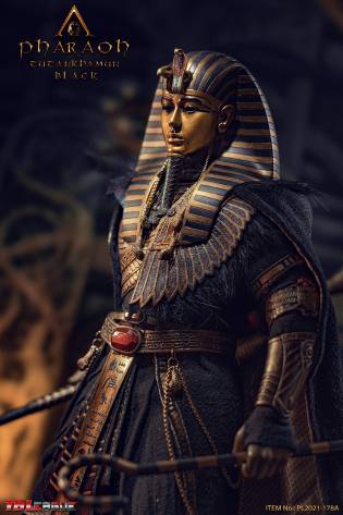 Pharaoh Tutankhamun - Black image 4
