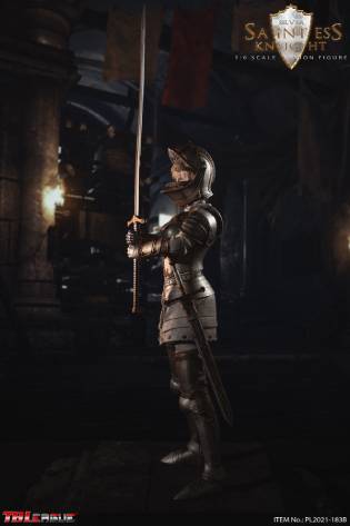 Saintess Knight - Sliver image 2