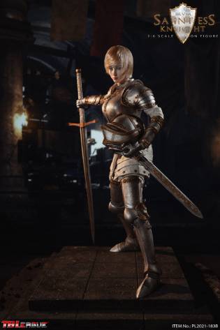 Saintess Knight - Sliver image 4