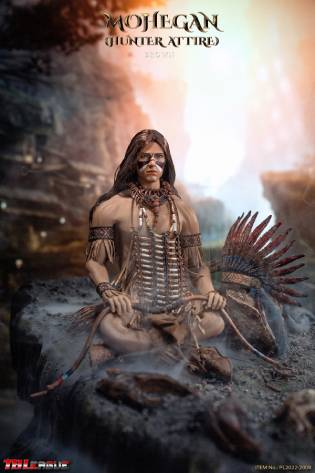 Mohegan (hunter attire)-Brown image 3