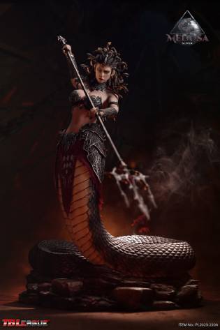 Medusa- Silver image 2