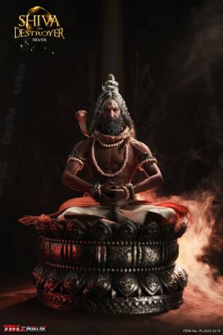 Shiva The Destroyer-Sliver image 4