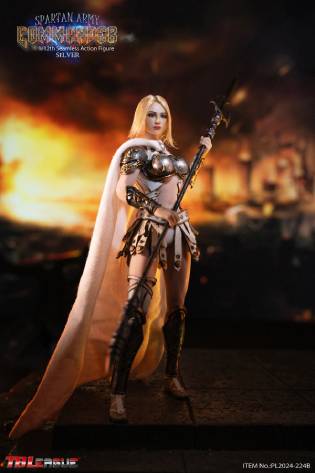 Spartan Army Commander- Silver image 3