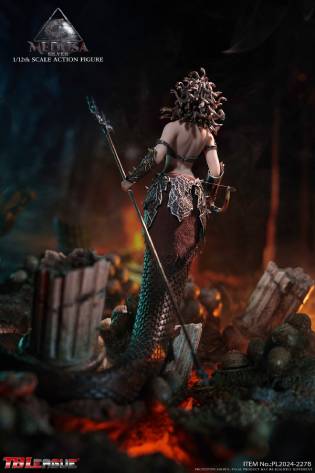 Medusa-Sliver image 2