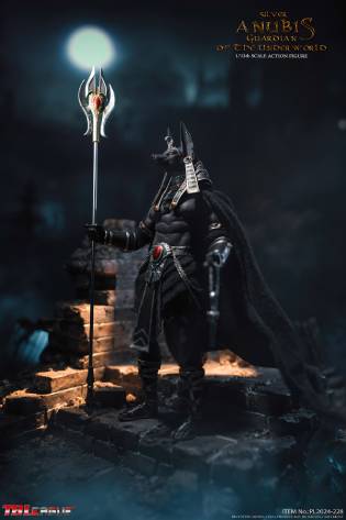 Anubis Guardian of The Underworld- Silver image 3