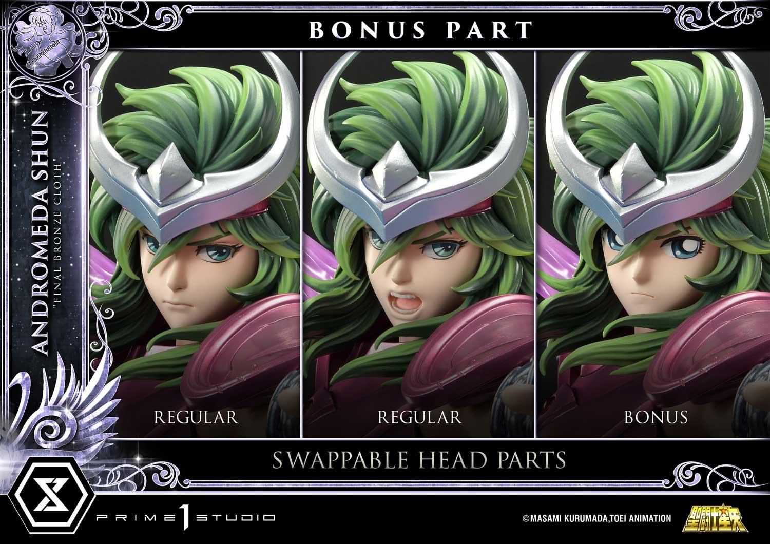 Andromeda Shun "Final Bronze Cloth" image 3