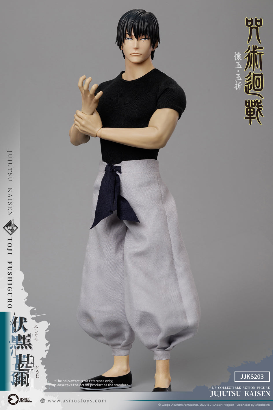 Toji Fushiguro image 9