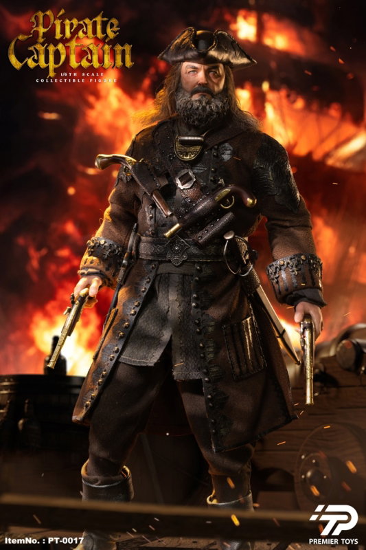Pirate Captain (Black Sails) image 2