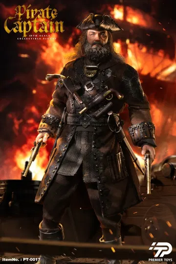 Pirate Captain (Black Sails)