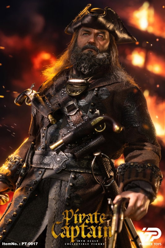 Pirate Captain (Black Sails) image 8