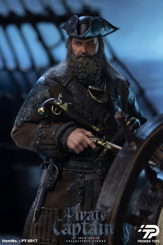 Pirate Captain (Black Sails) image 9
