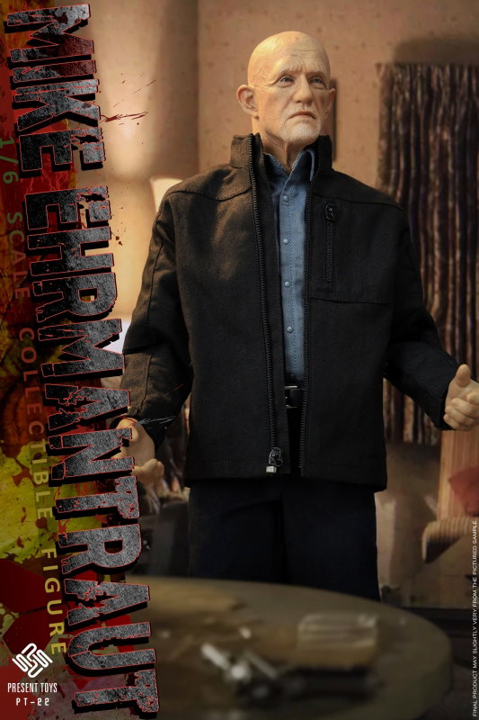 Mike Ehrmantraut image 5