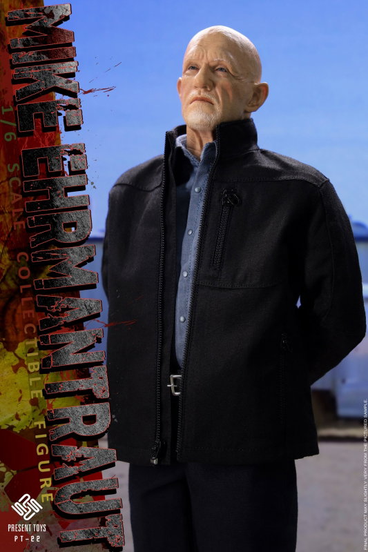 Mike Ehrmantraut image 6