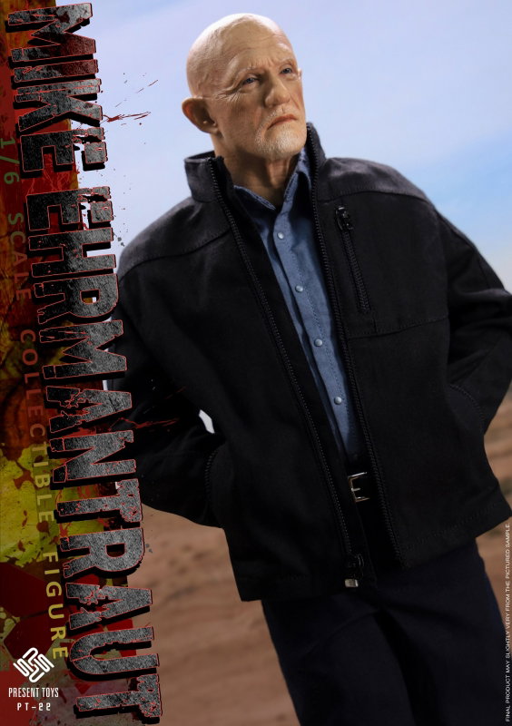 Mike Ehrmantraut image 7