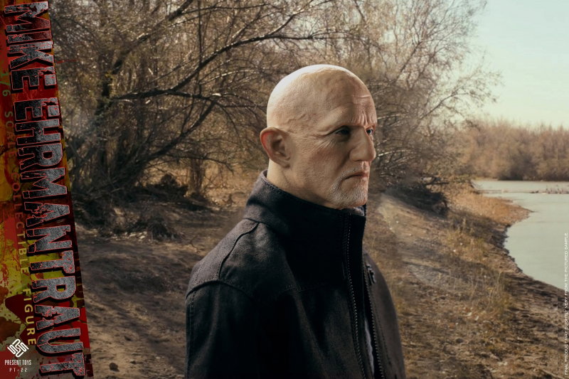 Mike Ehrmantraut image 8