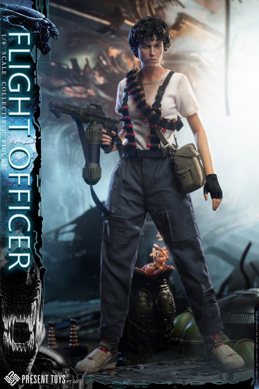 Flight Officer image 2