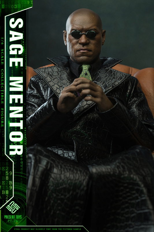Sage Mentor image 3