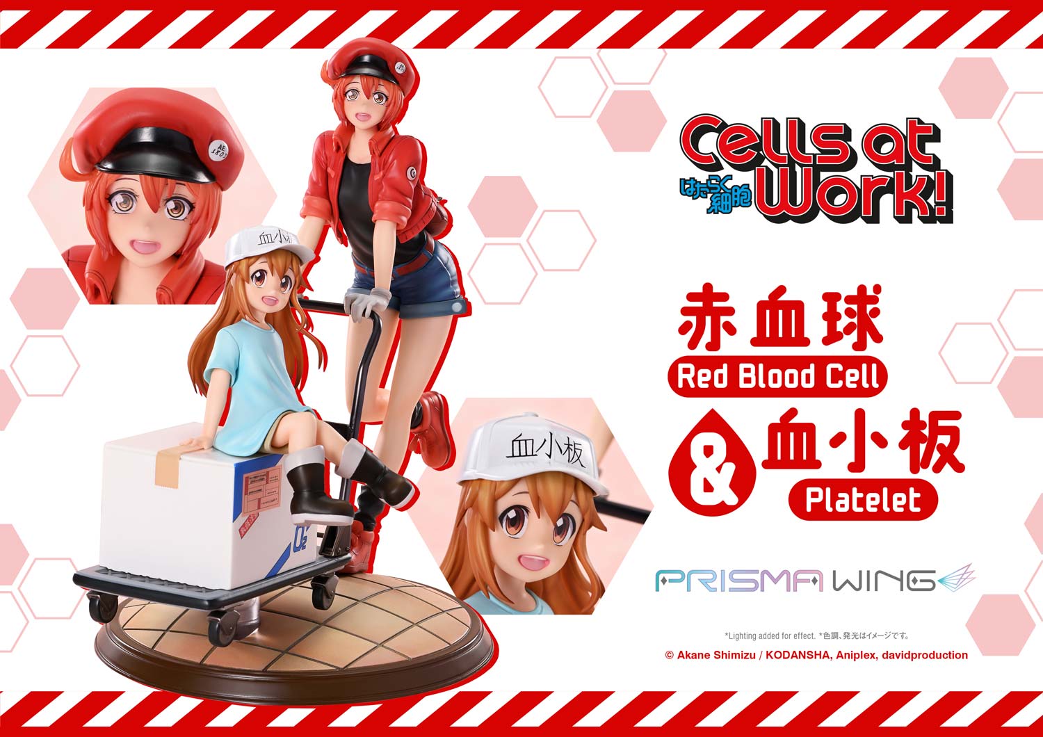 Red Blood Cell & Platelet image 1