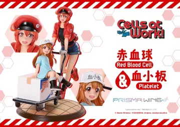 Red Blood Cell & Platelet