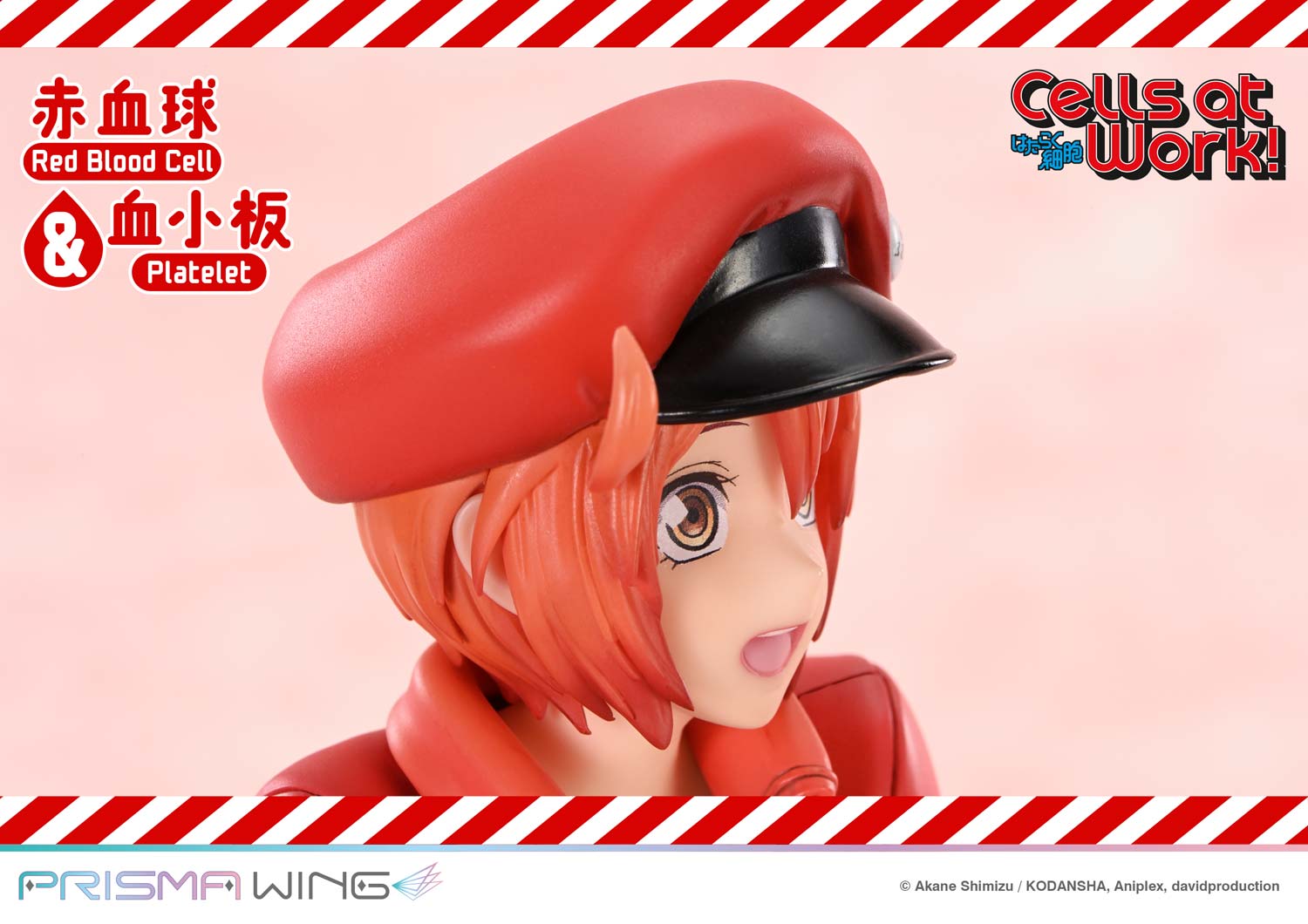 Red Blood Cell & Platelet image 10