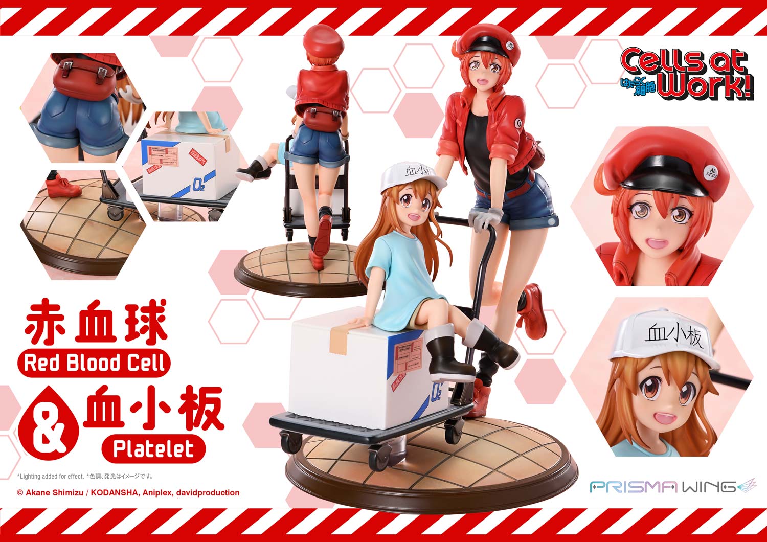 Red Blood Cell & Platelet image 2