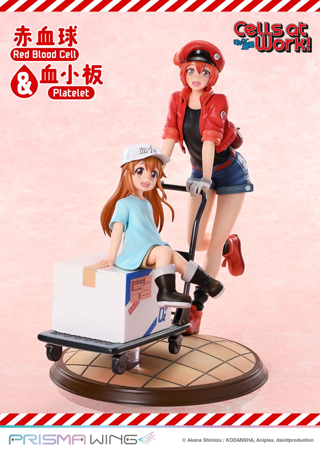 Red Blood Cell & Platelet image 3