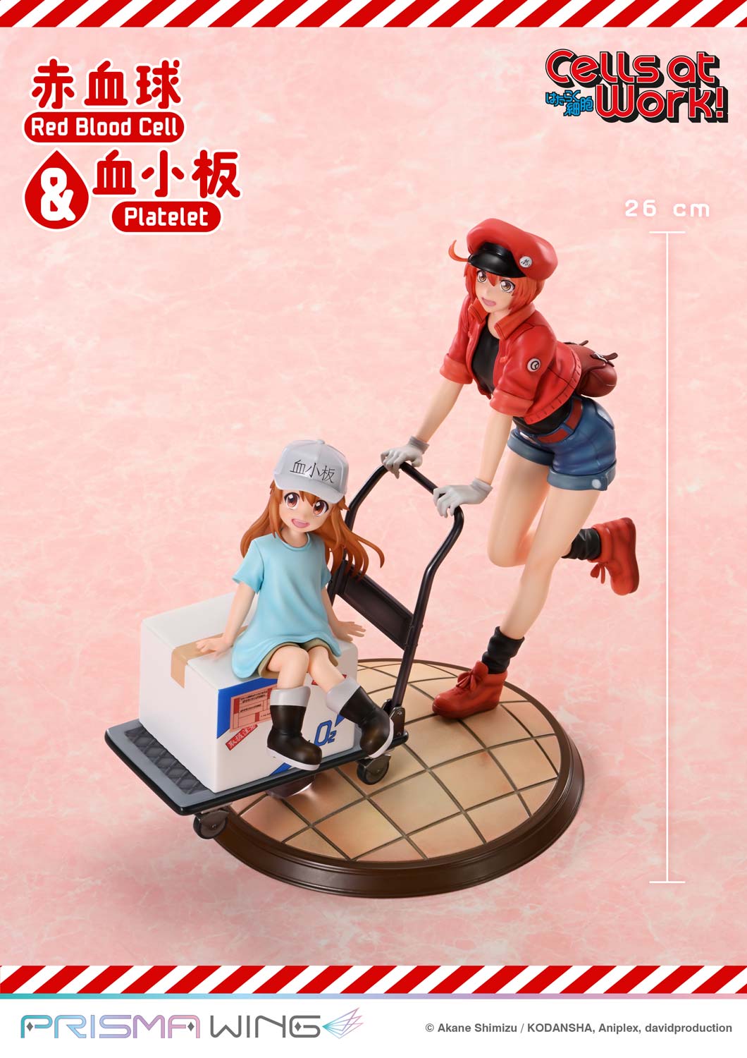 Red Blood Cell & Platelet image 4