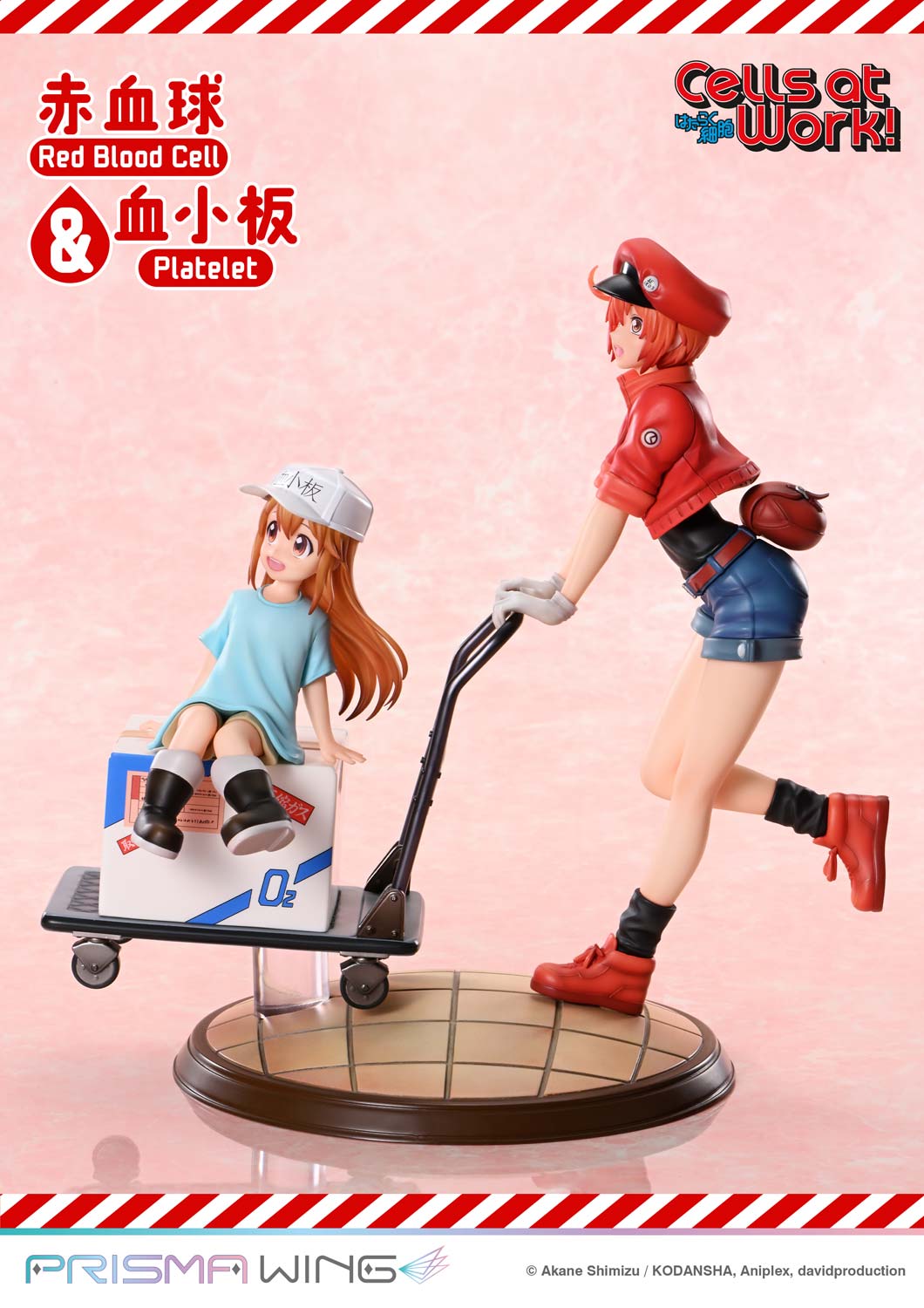 Red Blood Cell & Platelet image 5
