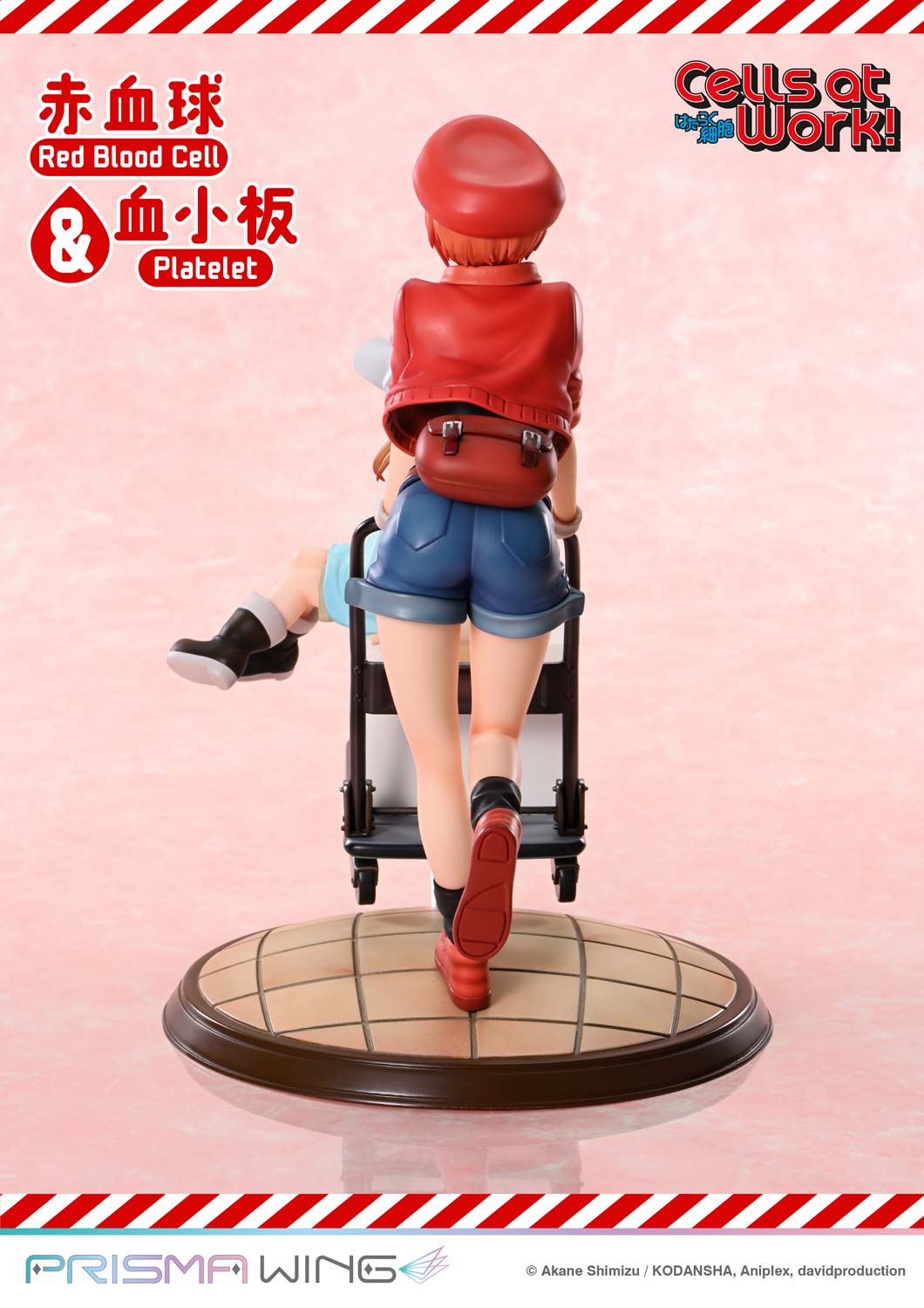 Red Blood Cell & Platelet image 6