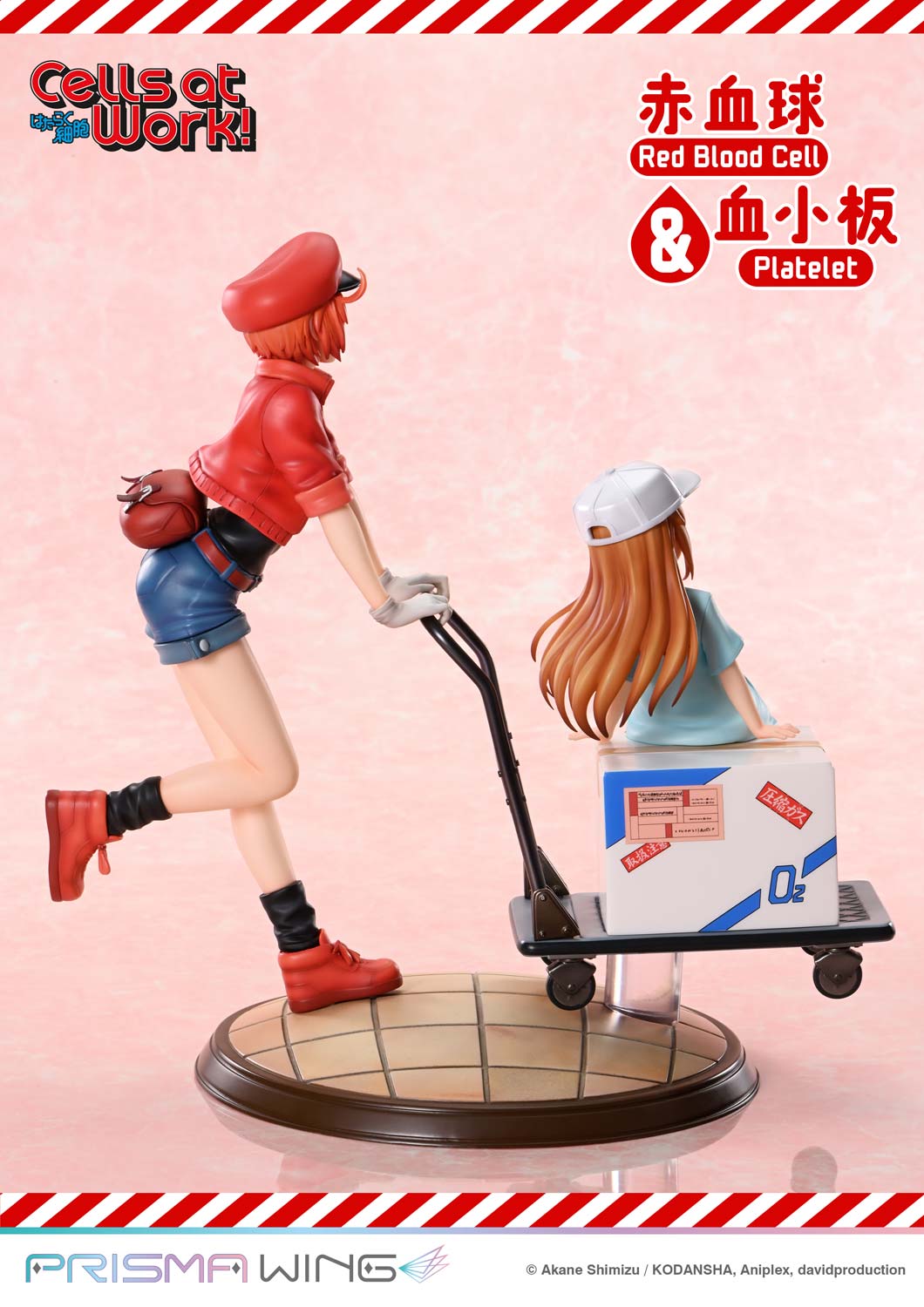 Red Blood Cell & Platelet image 7