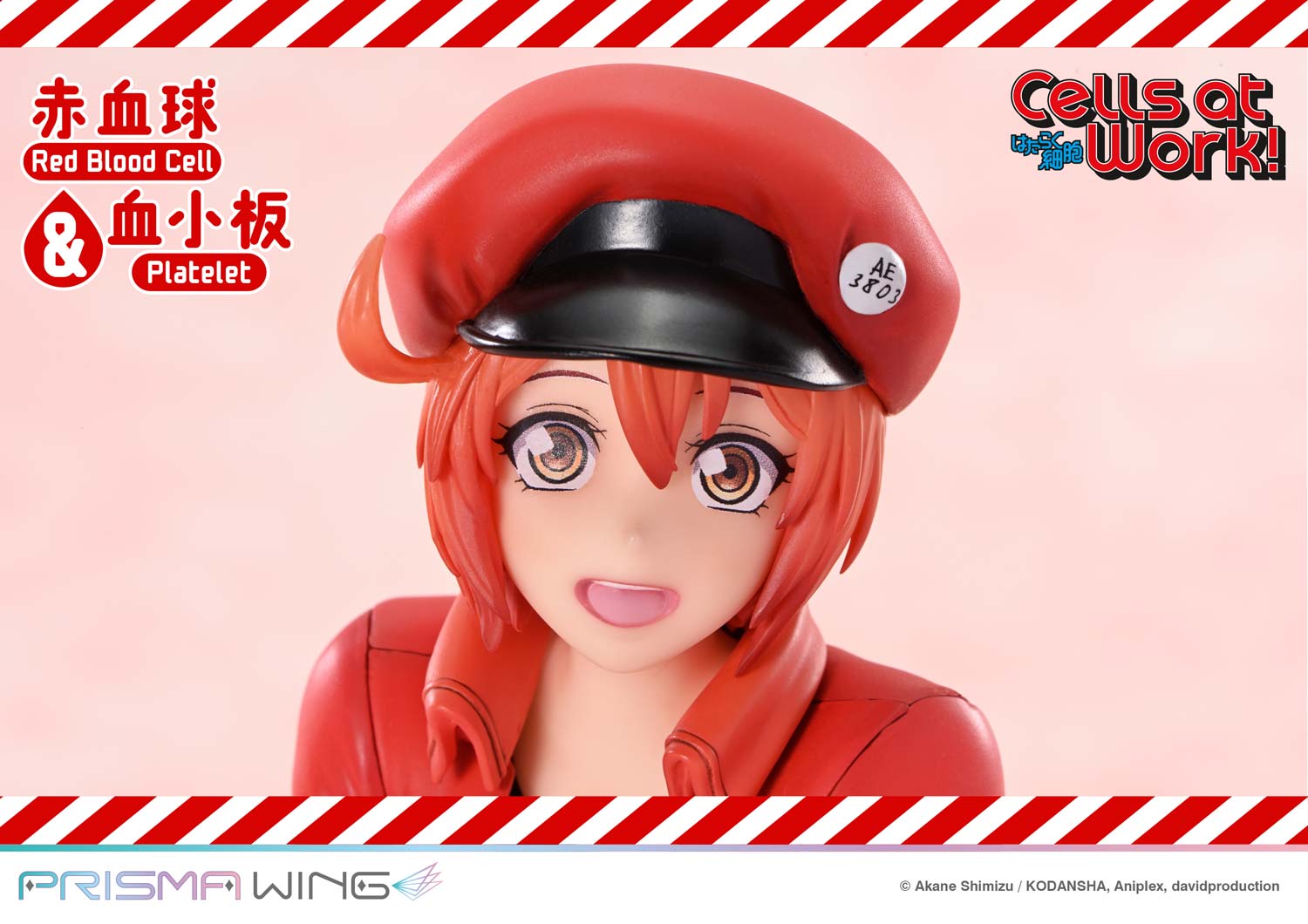 Red Blood Cell & Platelet image 8