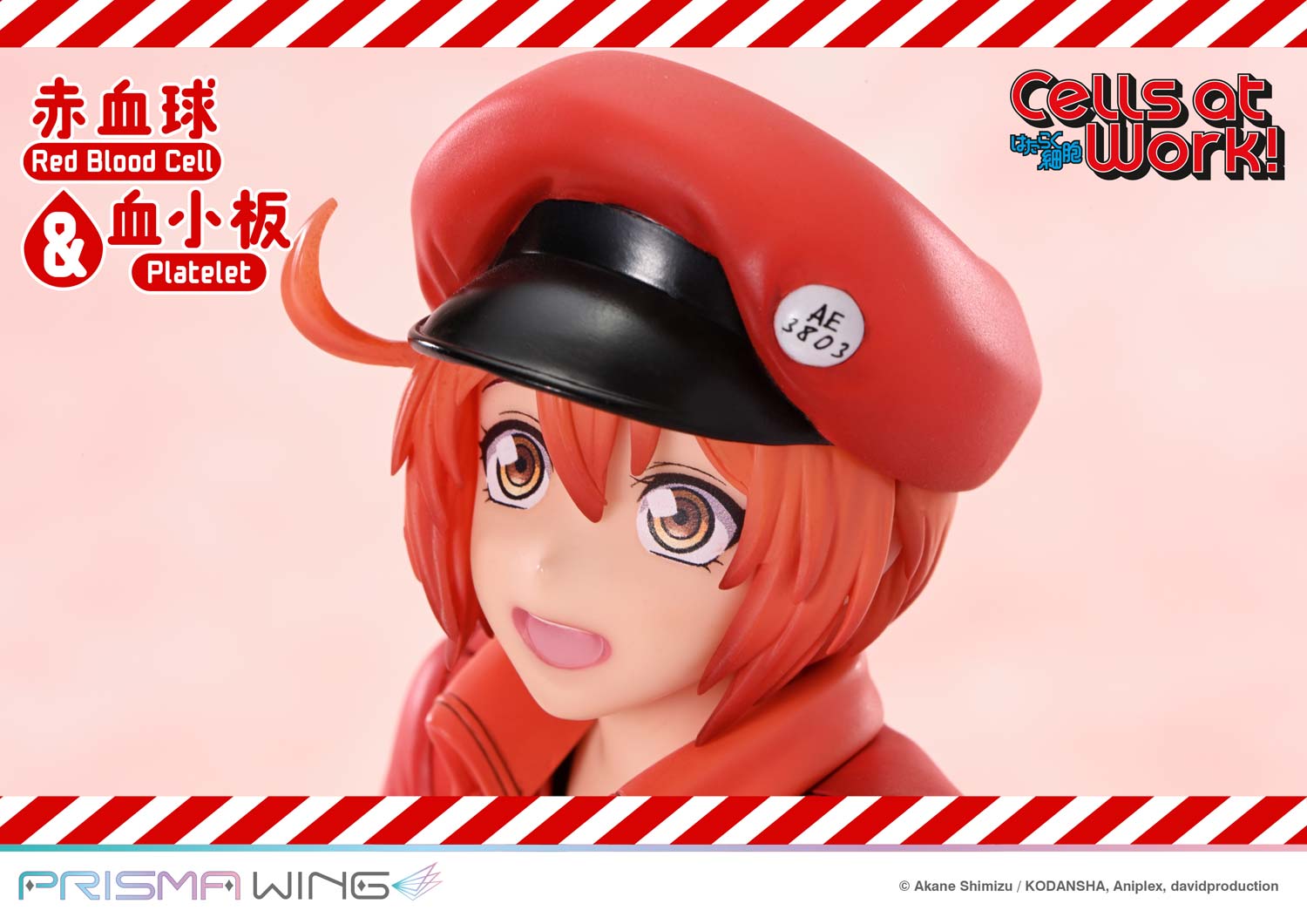 Red Blood Cell & Platelet image 9