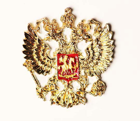 Vladimir Vladimirovich Putin image 2