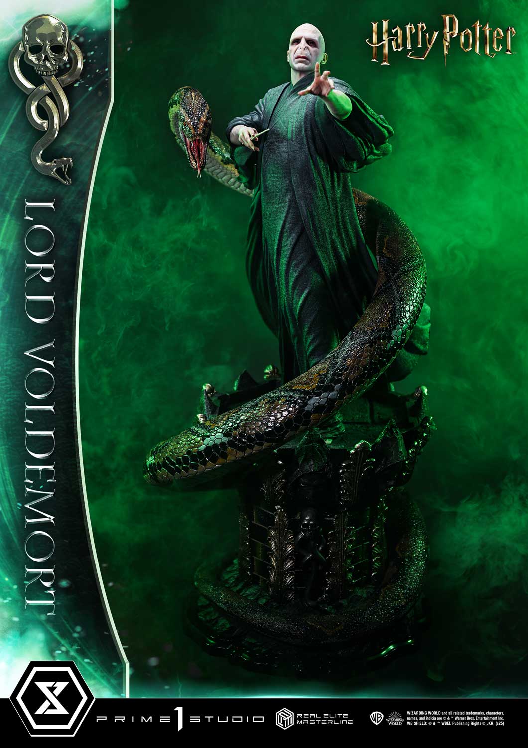 Lord Voldemort image 10