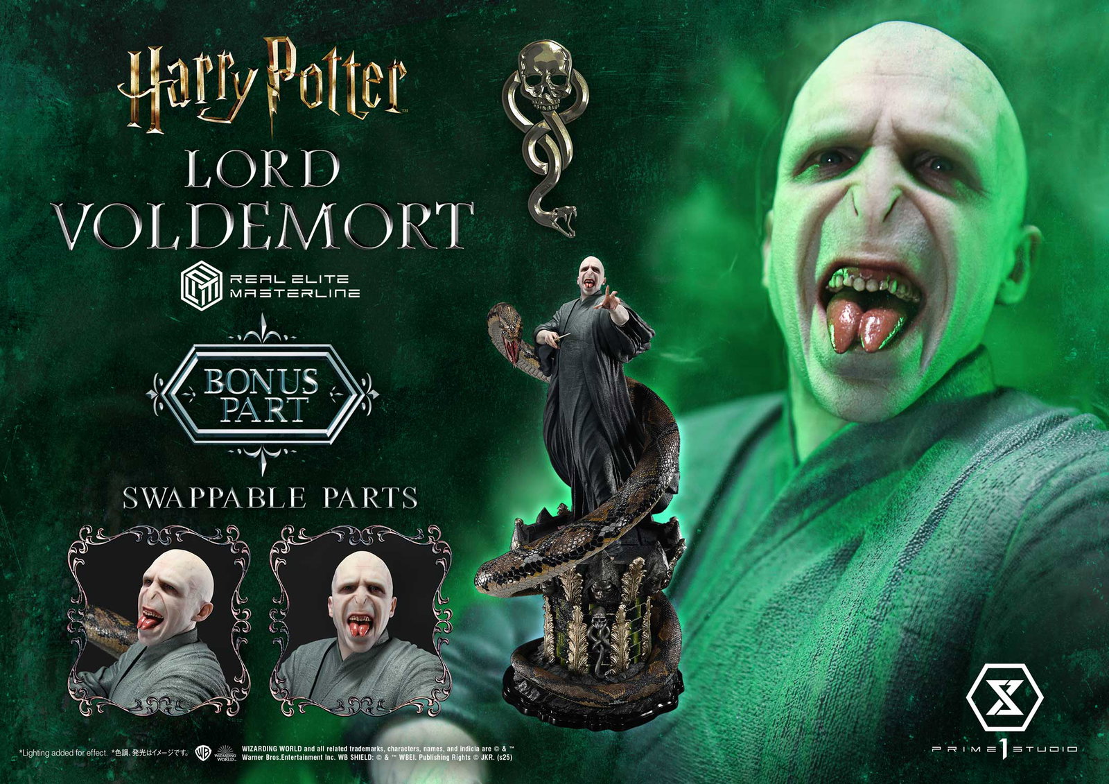 Lord Voldemort image 2