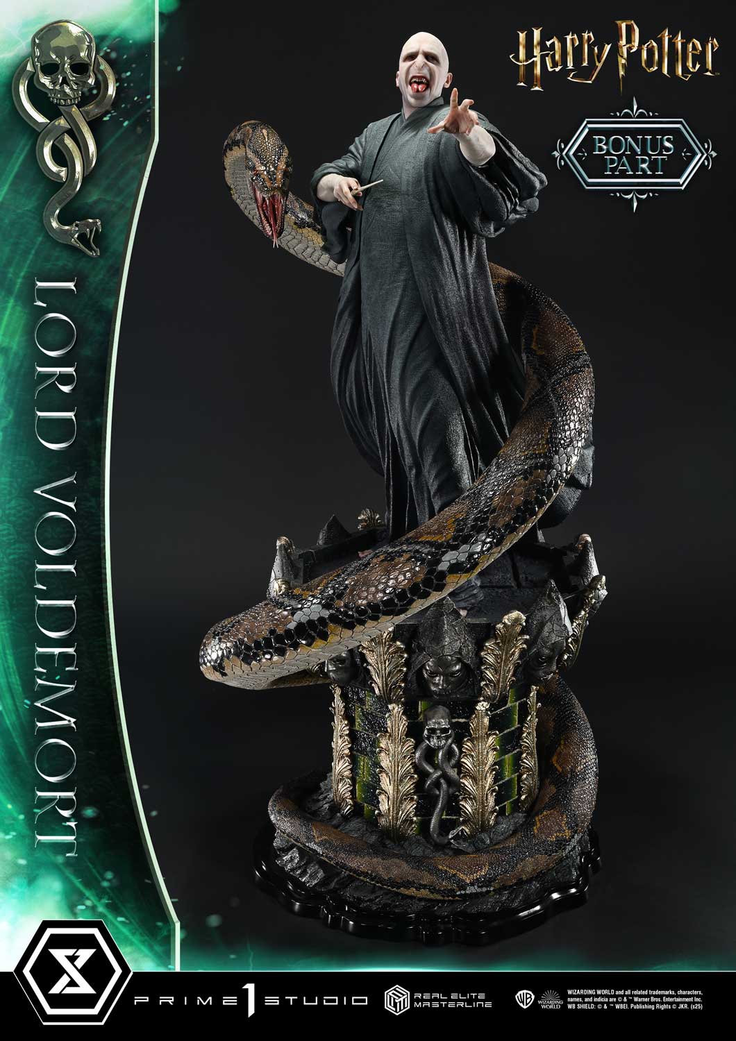 Lord Voldemort image 4