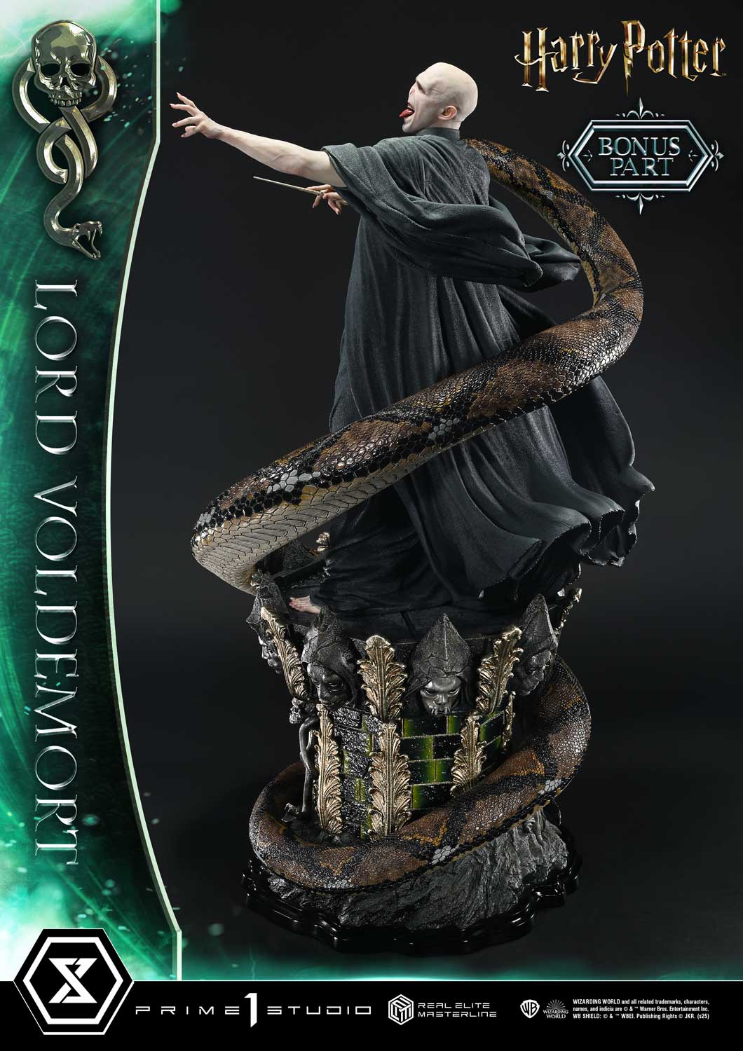 Lord Voldemort image 5