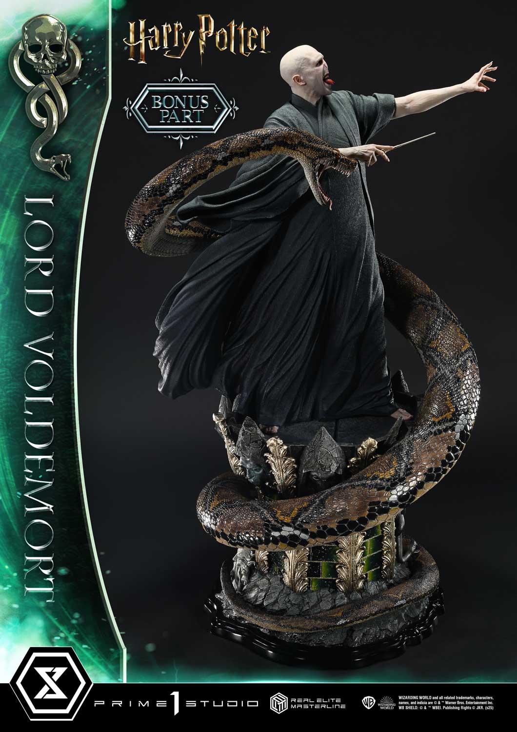 Lord Voldemort image 6