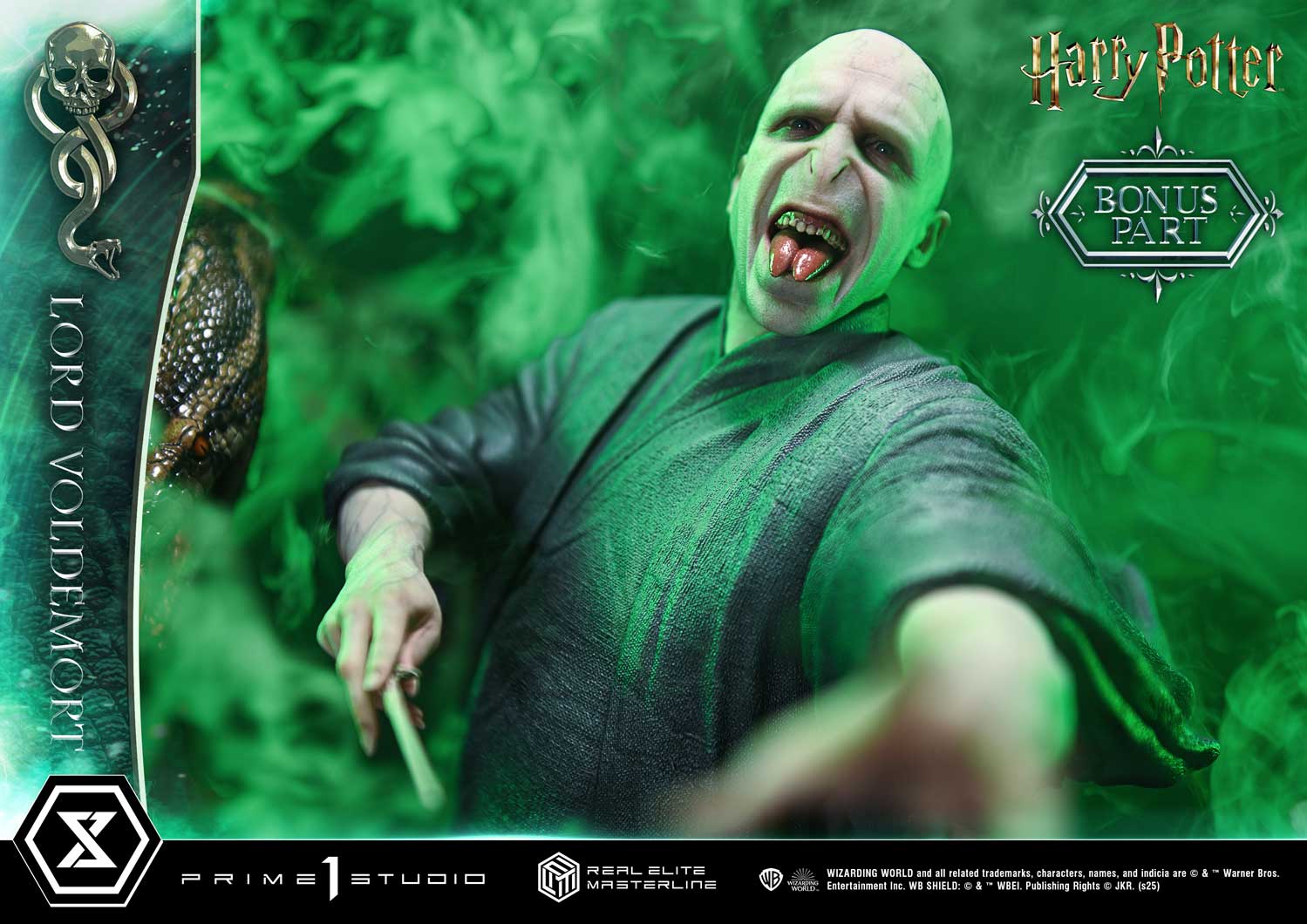 Lord Voldemort image 7