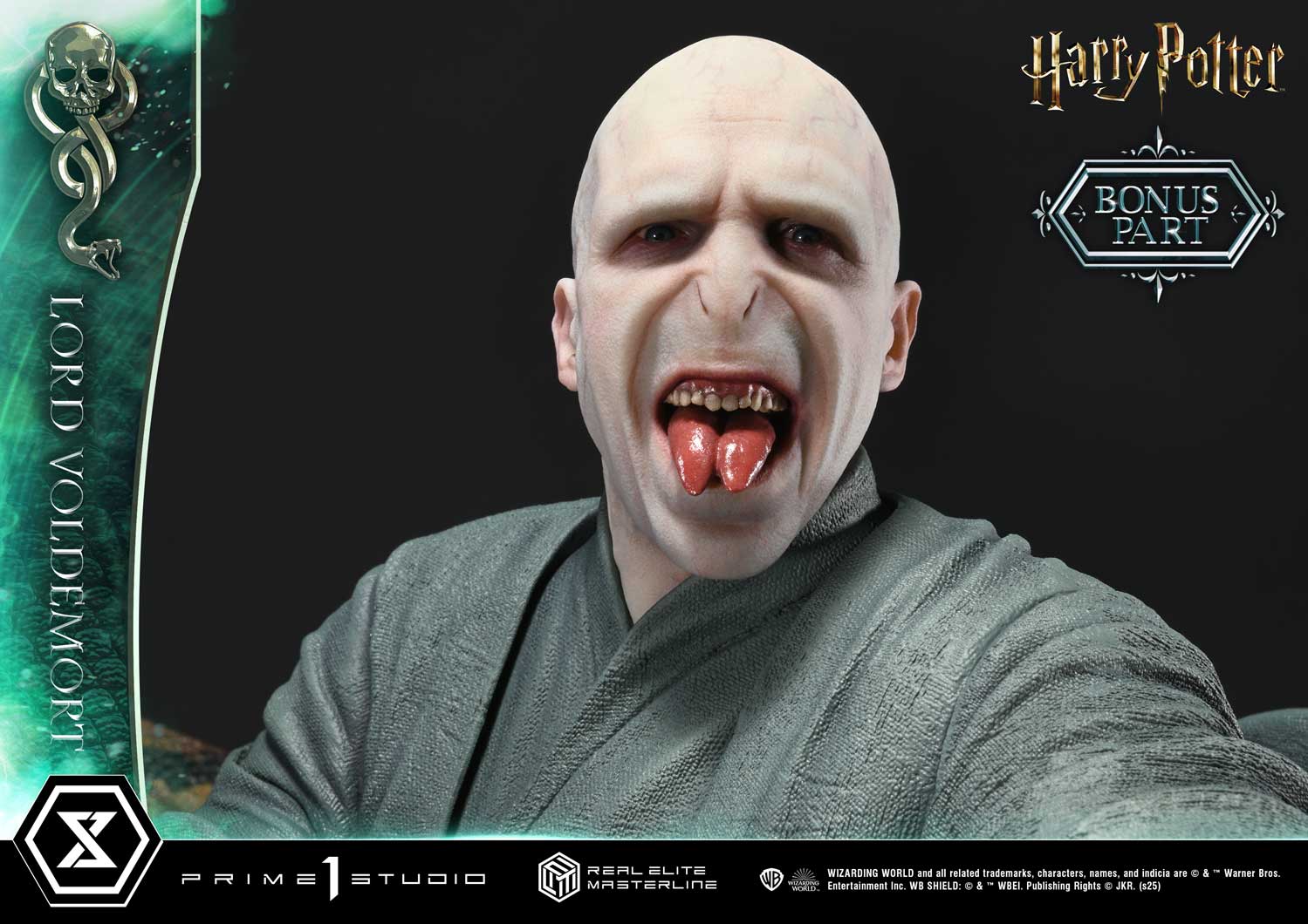 Lord Voldemort image 8
